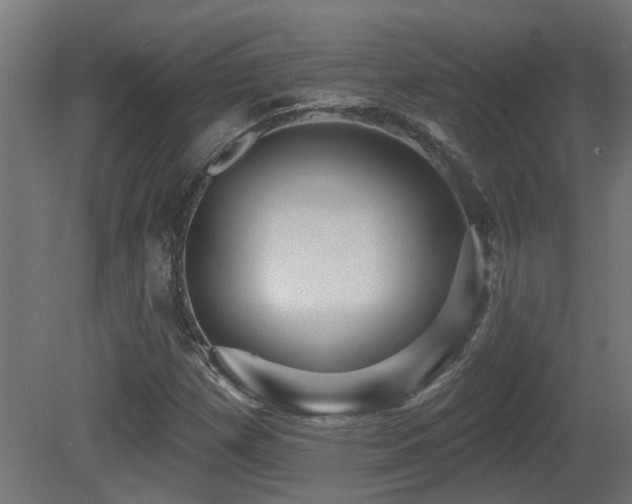 X0000081361257200701111512