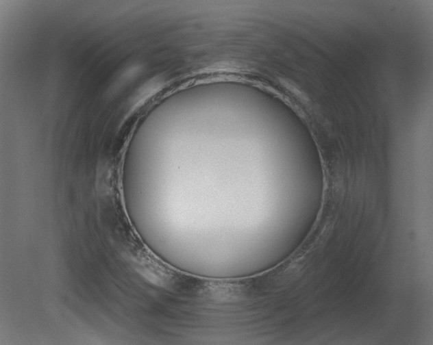 X0000081361258200701111512