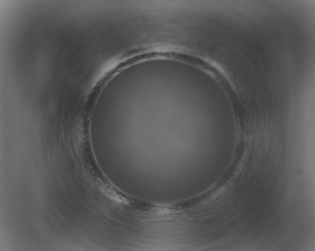 X0000081361263200701111512