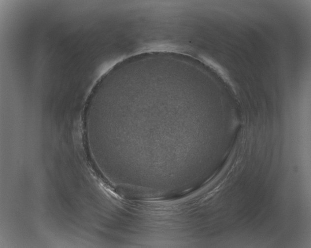 X0000081361264200701111512