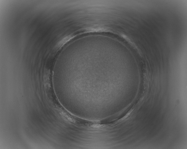 X0000081361265200701111512