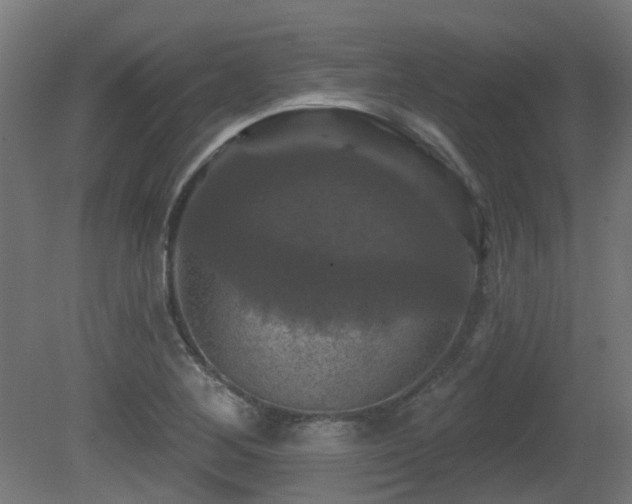 X0000081361268200701111512