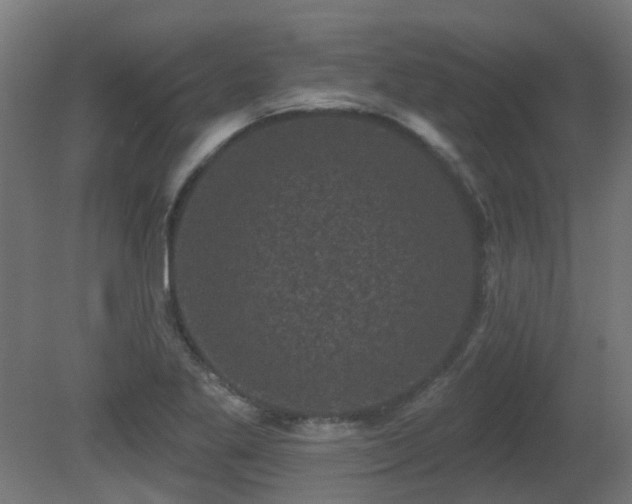 X0000081361269200701111512