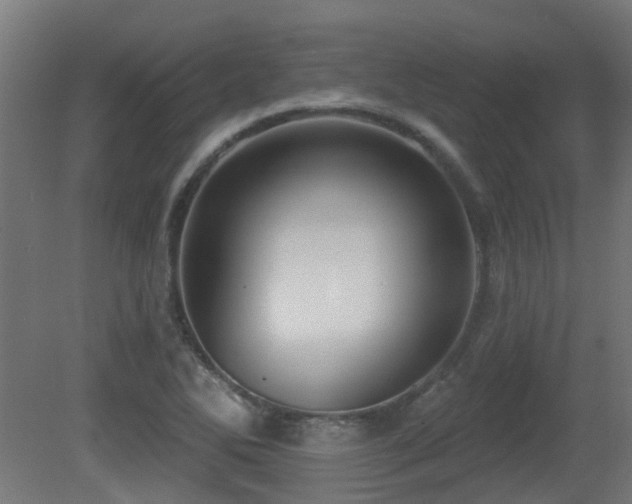 X0000081361270200701111512