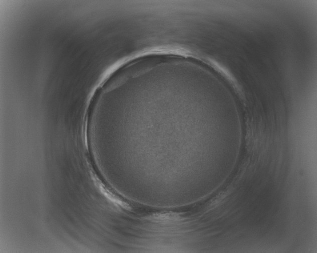 X0000081361272200701111512