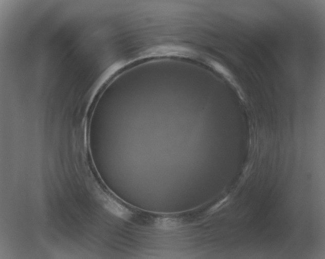 X0000081361275200701111512