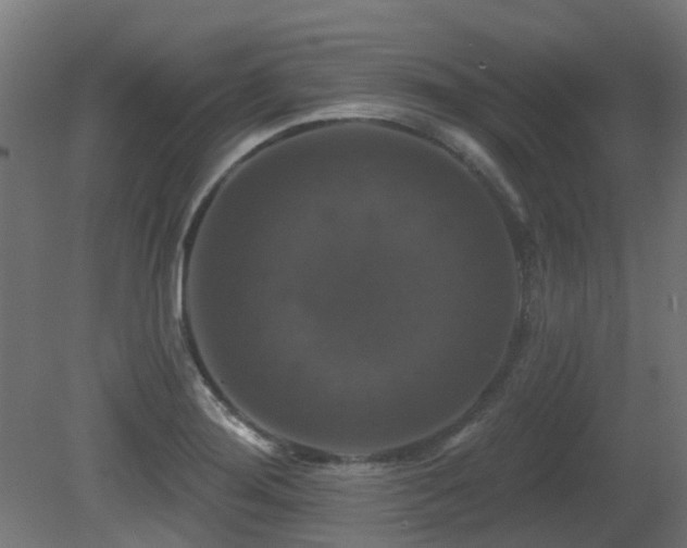 X0000081361276200701111512