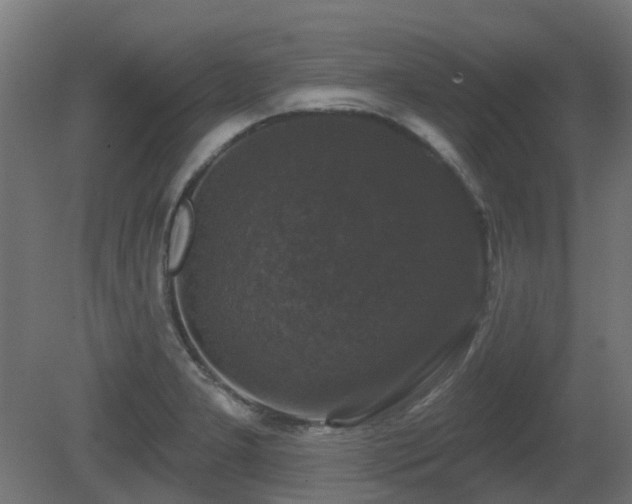 X0000081361277200701111512