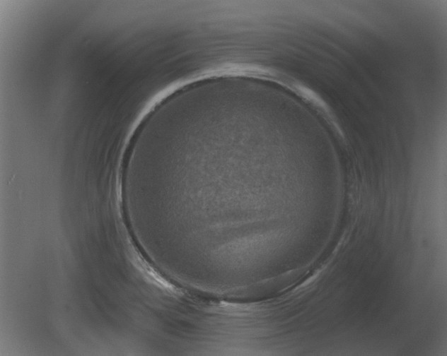 X0000081361280200701111512