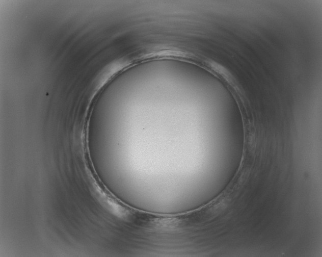 X0000081361282200701111512