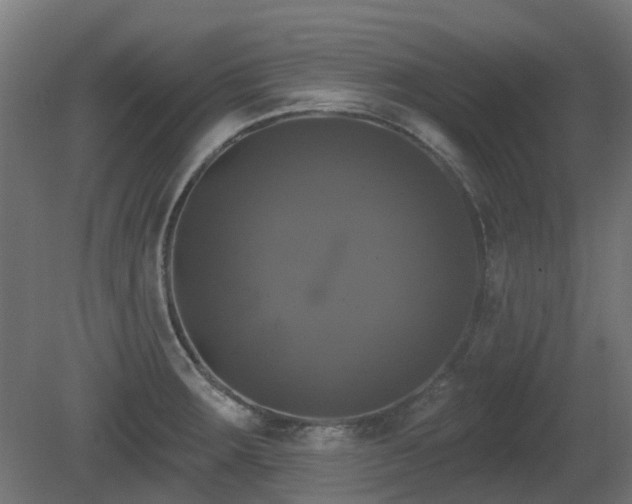 X0000081361283200701111512