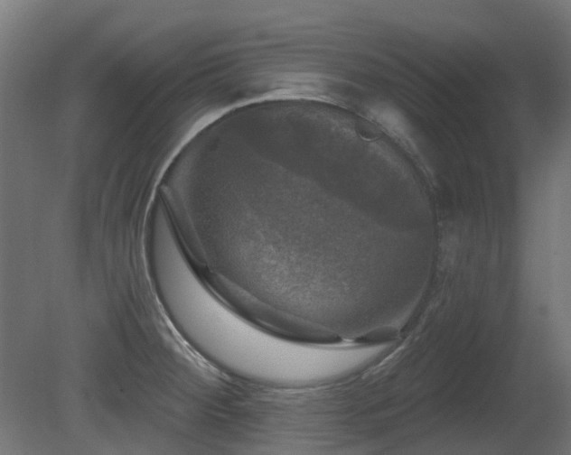 X0000081361284200701111512