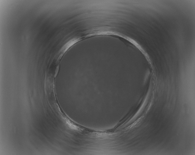 X0000081361289200701111512