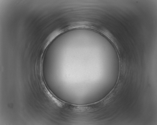 X0000081361290200701111512