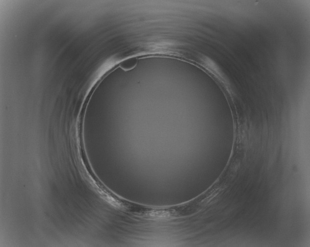 X0000081361291200701111512