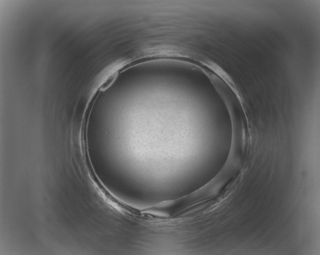 X0000081361293200701111511