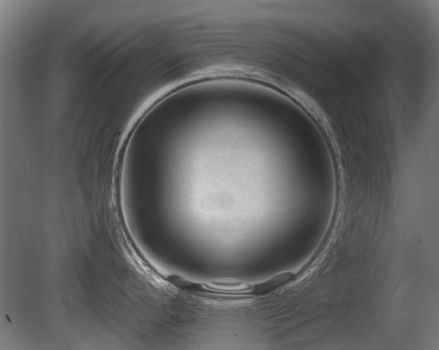 X0000081361296200701111511
