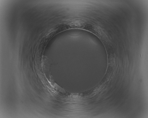 X0000081361297200701111511