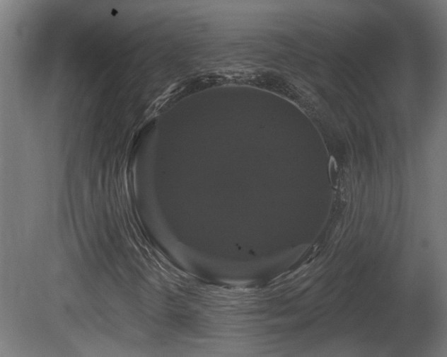 X0000081361298200701111511