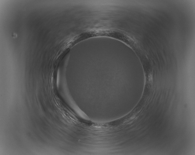 X0000081361300200701111511