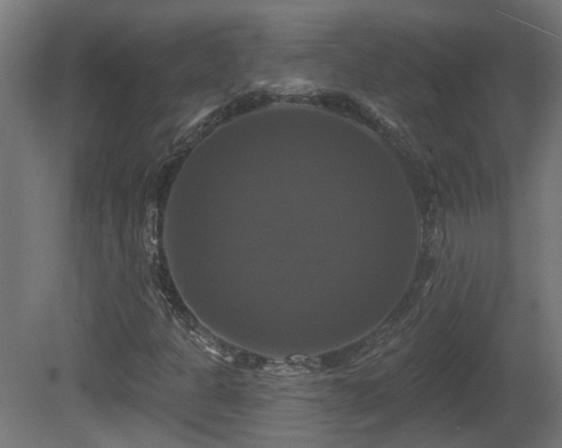 X0000081361301200701111511
