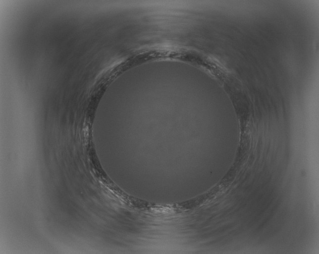 X0000081361302200701111511