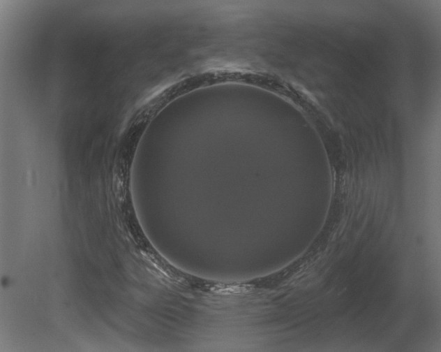 X0000081361303200701111511