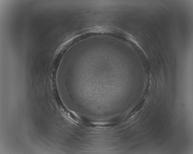 X0000081361304200701111511