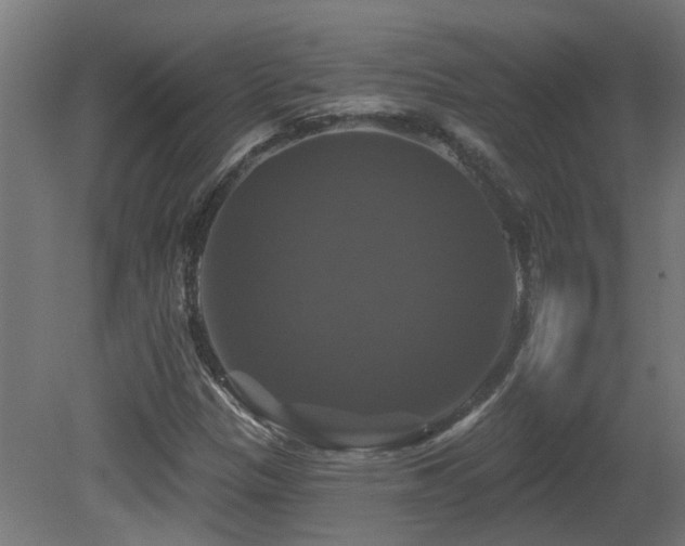 X0000081361305200701111511