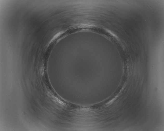 X0000081361306200701111511