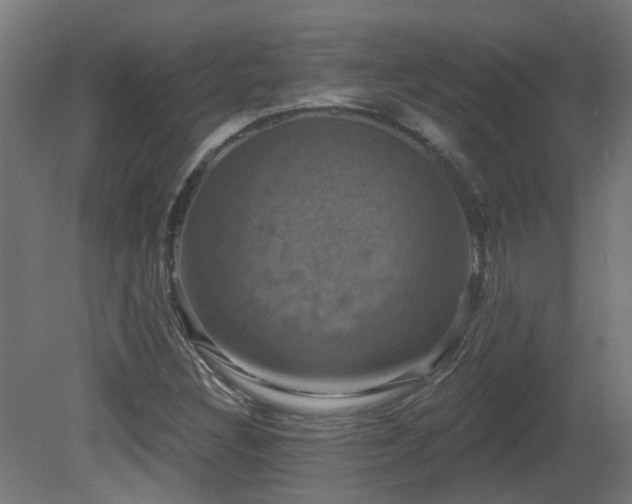 X0000081361308200701111511