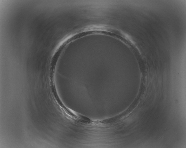 X0000081361312200701111511