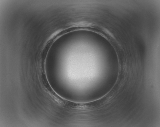 X0000081361315200701111511