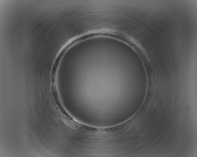 X0000081361316200701111511