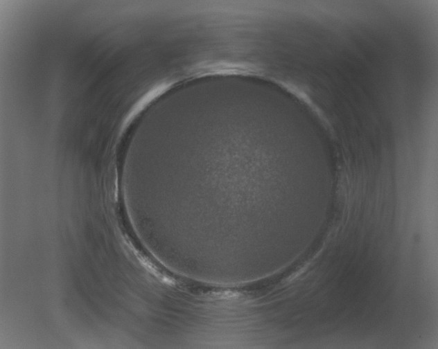 X0000081361317200701111511