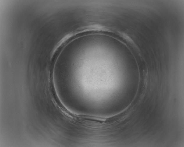 X0000081361318200701111511