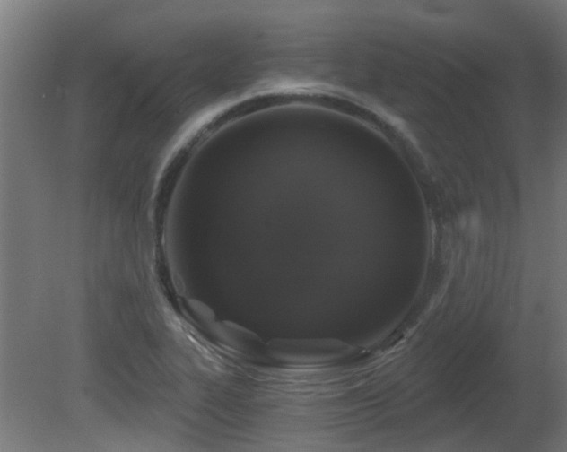 X0000081361319200701111511