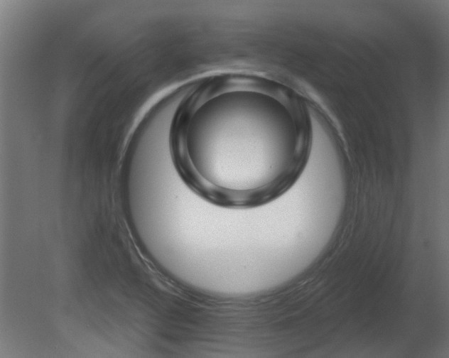 X0000081361320200701111511