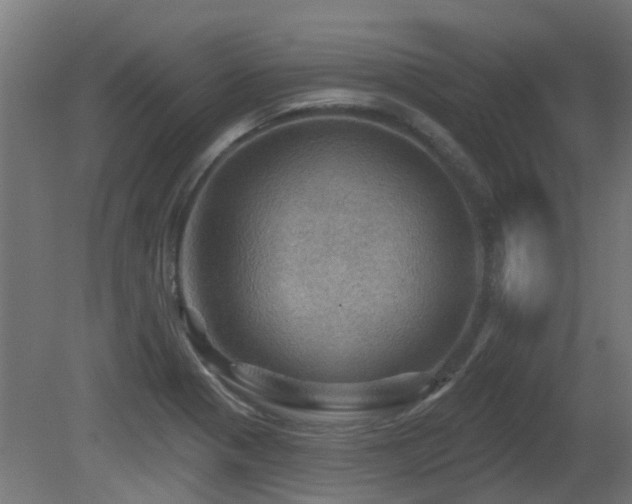X0000081361321200701111511