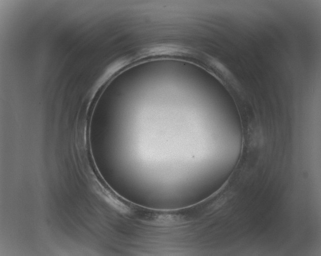 X0000081361322200701111511