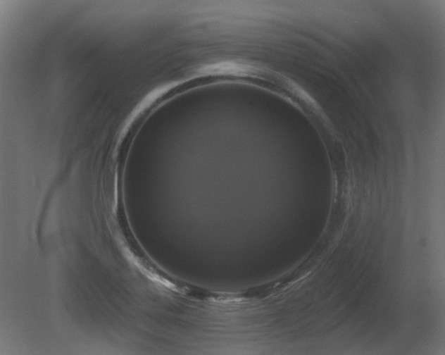 X0000081361323200701111511