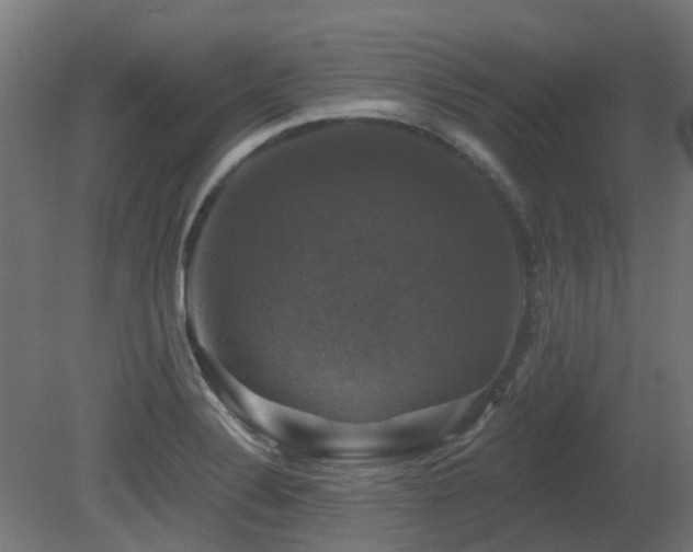 X0000081361324200701111511