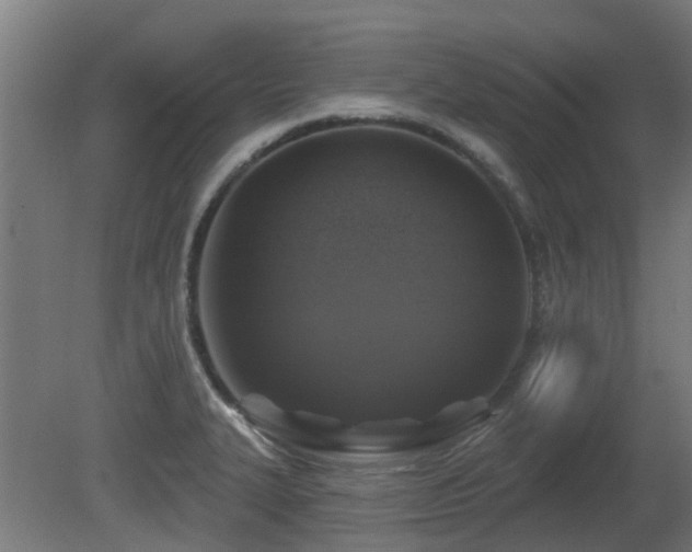 X0000081361327200701111511