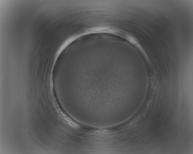 X0000081361328200701111511