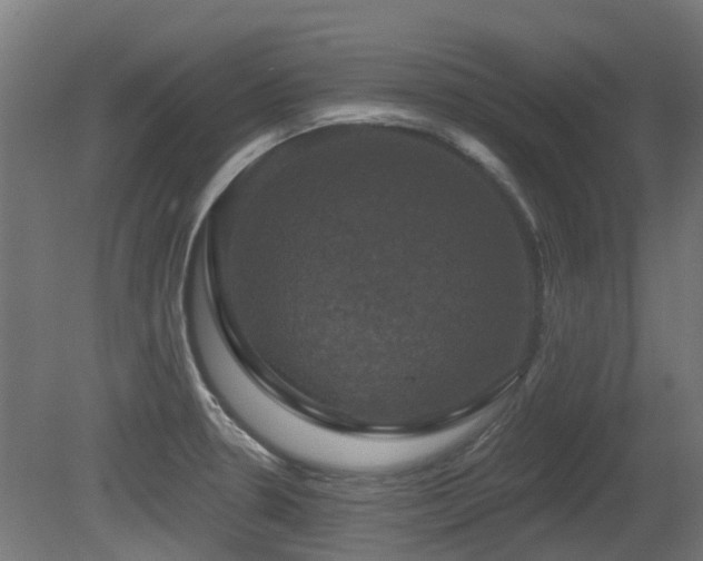 X0000081361330200701111511