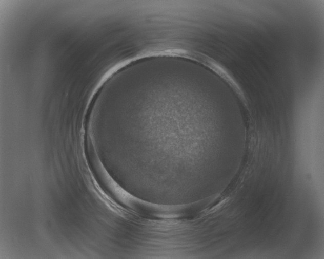 X0000081361332200701111511