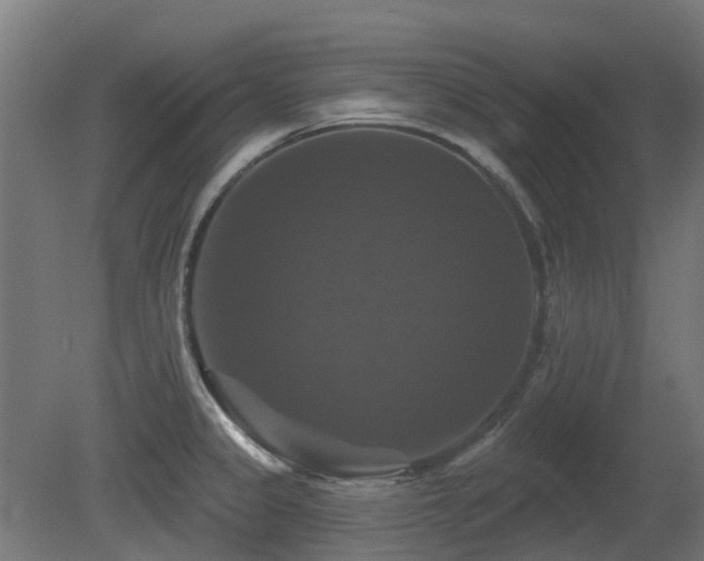 X0000081361333200701111511