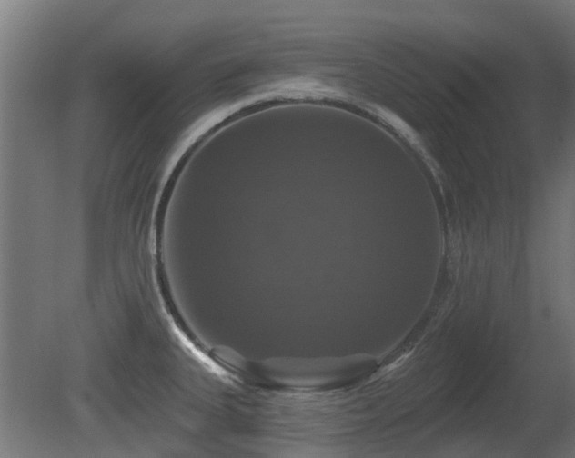 X0000081361335200701111511