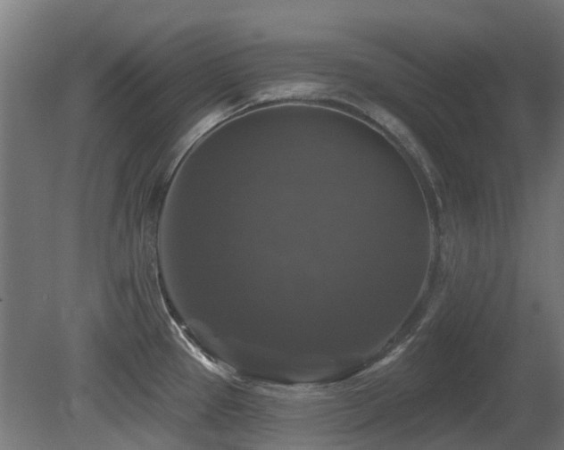 X0000081361337200701111511