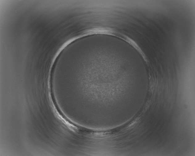 X0000081361339200701111511